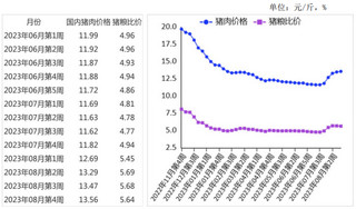 2023年8月猪肉价格明显反弹