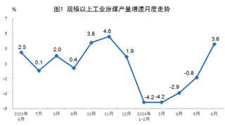 2024年6月份能源生产情况